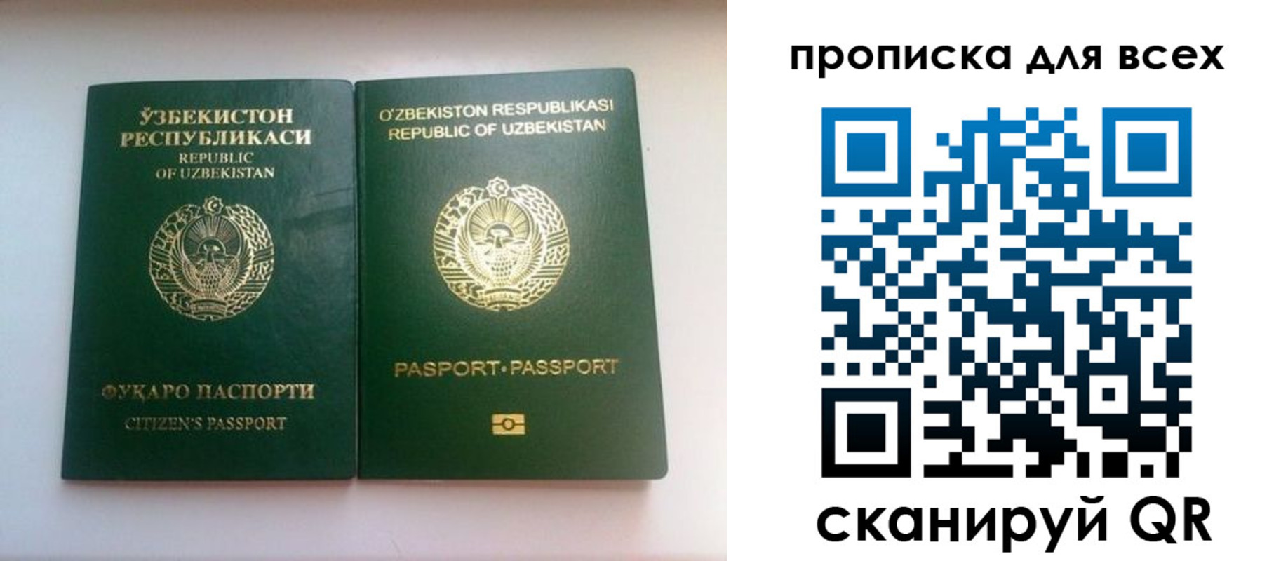 прописка для школы в Коле
